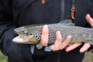 Initiation à la pêche MPLux