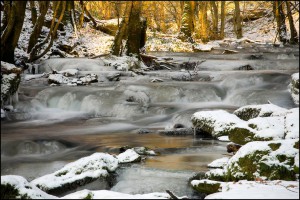 © Paul Péture (Alle-sur-Semois)