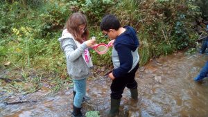 Détermination de la qualité d'un cours d'eau