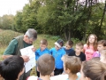 Découverte des "petites bêtes" du ruisseau de Radru avec Léon Latour (Gaume-Environnement asbl)